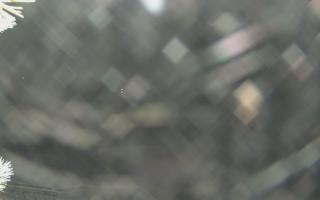 Sromowce Wyżne Flisacy - 01-02-2026 19:58