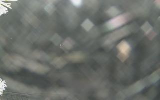 Sromowce Wyżne Flisacy - 01-02-2026 20:05