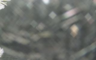 Sromowce Wyżne Flisacy - 01-02-2026 20:13