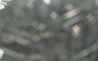 Sromowce Wyżne Flisacy - 01-02-2026 20:21