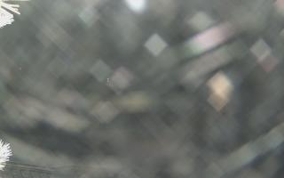 Sromowce Wyżne Flisacy - 01-02-2026 20:28