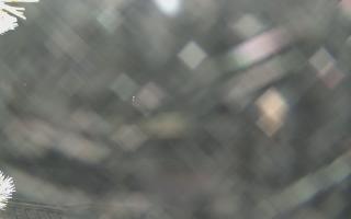 Sromowce Wyżne Flisacy - 01-02-2026 20:36