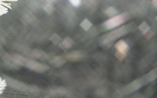 Sromowce Wyżne Flisacy - 01-02-2026 20:43