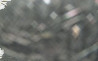 Sromowce Wyżne Flisacy - 01-02-2026 20:51