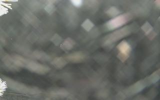 Sromowce Wyżne Flisacy - 01-02-2026 21:06