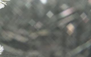 Sromowce Wyżne Flisacy - 01-02-2026 21:14