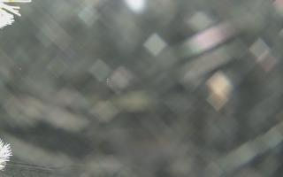 Sromowce Wyżne Flisacy - 01-02-2026 21:21