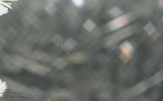 Sromowce Wyżne Flisacy - 01-02-2026 21:37