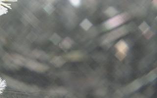 Sromowce Wyżne Flisacy - 01-02-2026 21:52