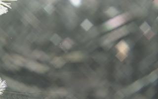 Sromowce Wyżne Flisacy - 01-02-2026 22:07