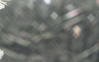 Sromowce Wyżne Flisacy - 01-02-2026 22:22