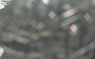 Sromowce Wyżne Flisacy - 01-02-2026 22:30