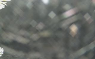 Sromowce Wyżne Flisacy - 01-02-2026 22:37