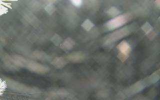 Sromowce Wyżne Flisacy - 01-02-2026 22:45