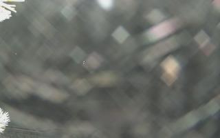 Sromowce Wyżne Flisacy - 01-02-2026 23:23