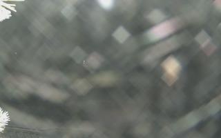 Sromowce Wyżne Flisacy - 01-02-2026 23:46