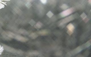 Sromowce Wyżne Flisacy - 02-02-2026 00:01