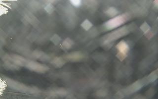 Sromowce Wyżne Flisacy - 02-02-2026 00:08