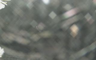 Sromowce Wyżne Flisacy - 02-02-2026 00:16