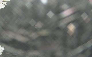 Sromowce Wyżne Flisacy - 02-02-2026 00:24