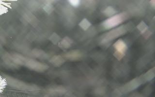 Sromowce Wyżne Flisacy - 02-02-2026 00:31