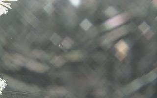 Sromowce Wyżne Flisacy - 02-02-2026 00:39