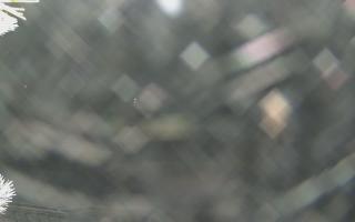 Sromowce Wyżne Flisacy - 02-02-2026 00:46