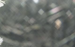 Sromowce Wyżne Flisacy - 02-02-2026 00:54