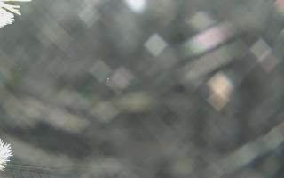 Sromowce Wyżne Flisacy - 02-02-2026 01:02