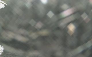 Sromowce Wyżne Flisacy - 02-02-2026 01:24