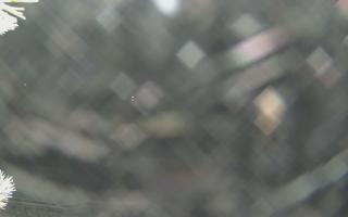 Sromowce Wyżne Flisacy - 02-02-2026 01:32