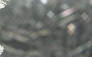 Sromowce Wyżne Flisacy - 02-02-2026 01:40