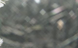 Sromowce Wyżne Flisacy - 02-02-2026 01:55