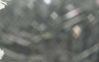 Sromowce Wyżne Flisacy - 02-02-2026 02:02