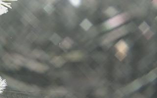 Sromowce Wyżne Flisacy - 02-02-2026 02:10