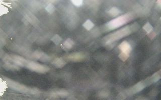 Sromowce Wyżne Flisacy - 02-02-2026 02:18