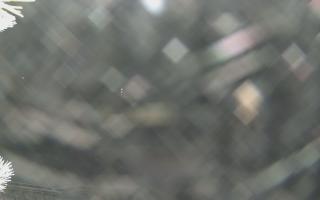 Sromowce Wyżne Flisacy - 02-02-2026 02:25