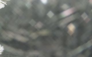 Sromowce Wyżne Flisacy - 02-02-2026 02:33