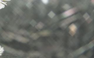 Sromowce Wyżne Flisacy - 02-02-2026 02:40