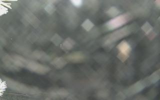 Sromowce Wyżne Flisacy - 02-02-2026 02:48