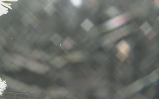 Sromowce Wyżne Flisacy - 02-02-2026 02:56