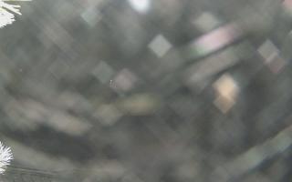 Sromowce Wyżne Flisacy - 02-02-2026 03:11