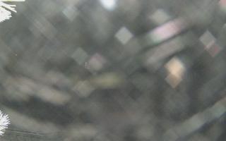 Sromowce Wyżne Flisacy - 02-02-2026 03:18