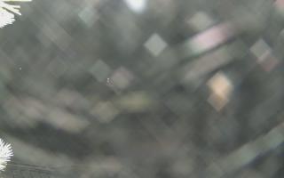 Sromowce Wyżne Flisacy - 02-02-2026 03:34