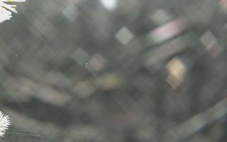 Sromowce Wyżne Flisacy - 02-02-2026 03:41