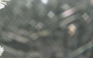 Sromowce Wyżne Flisacy - 02-02-2026 03:56