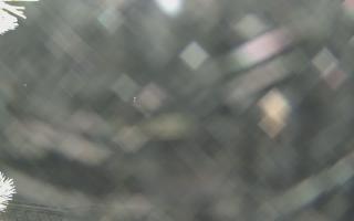 Sromowce Wyżne Flisacy - 02-02-2026 04:19