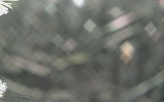 Sromowce Wyżne Flisacy - 02-02-2026 04:42