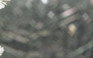 Sromowce Wyżne Flisacy - 02-02-2026 04:49