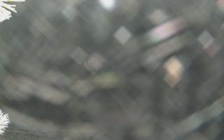 Sromowce Wyżne Flisacy - 02-02-2026 04:57